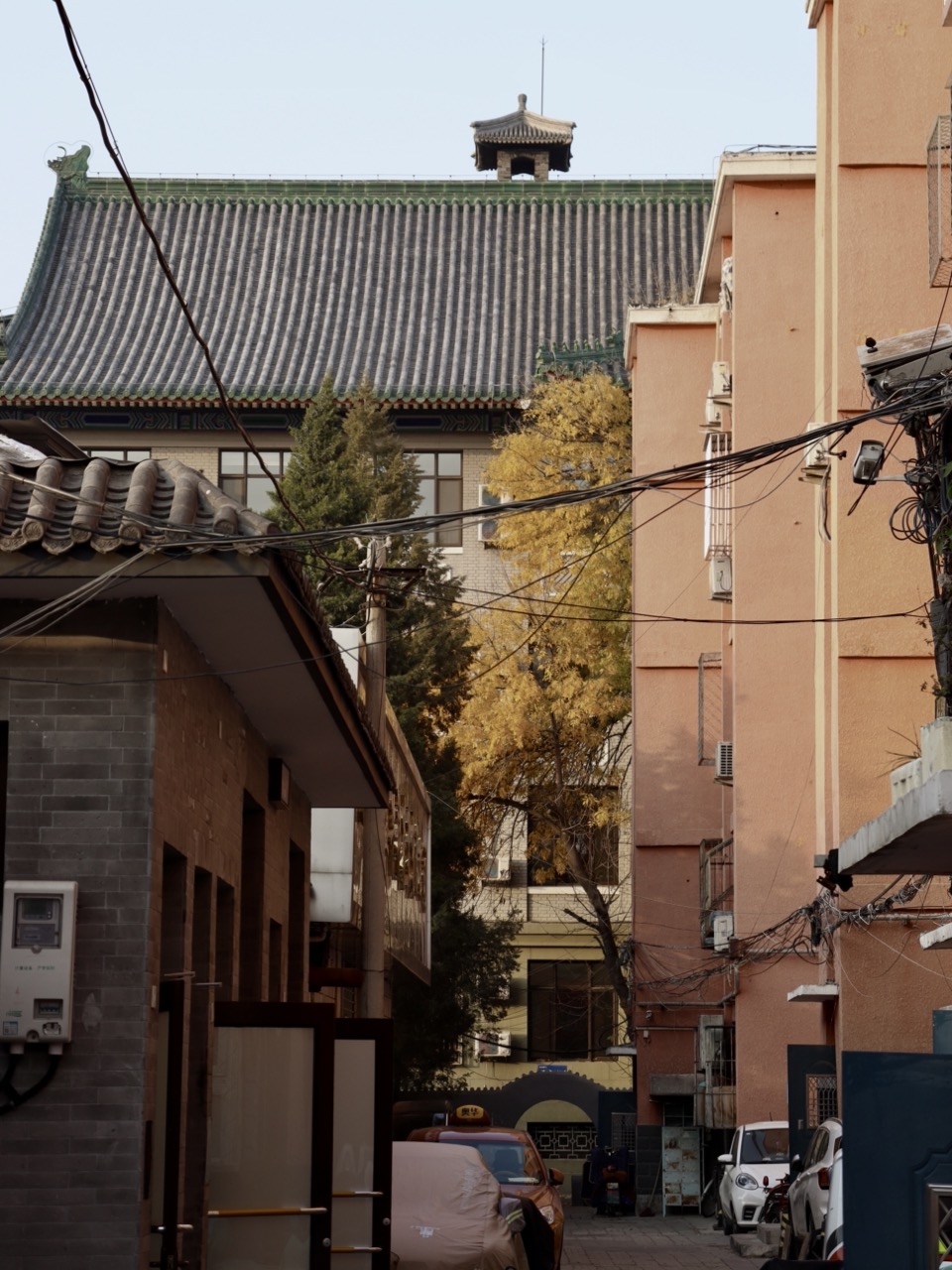 Hutong Near the National Library